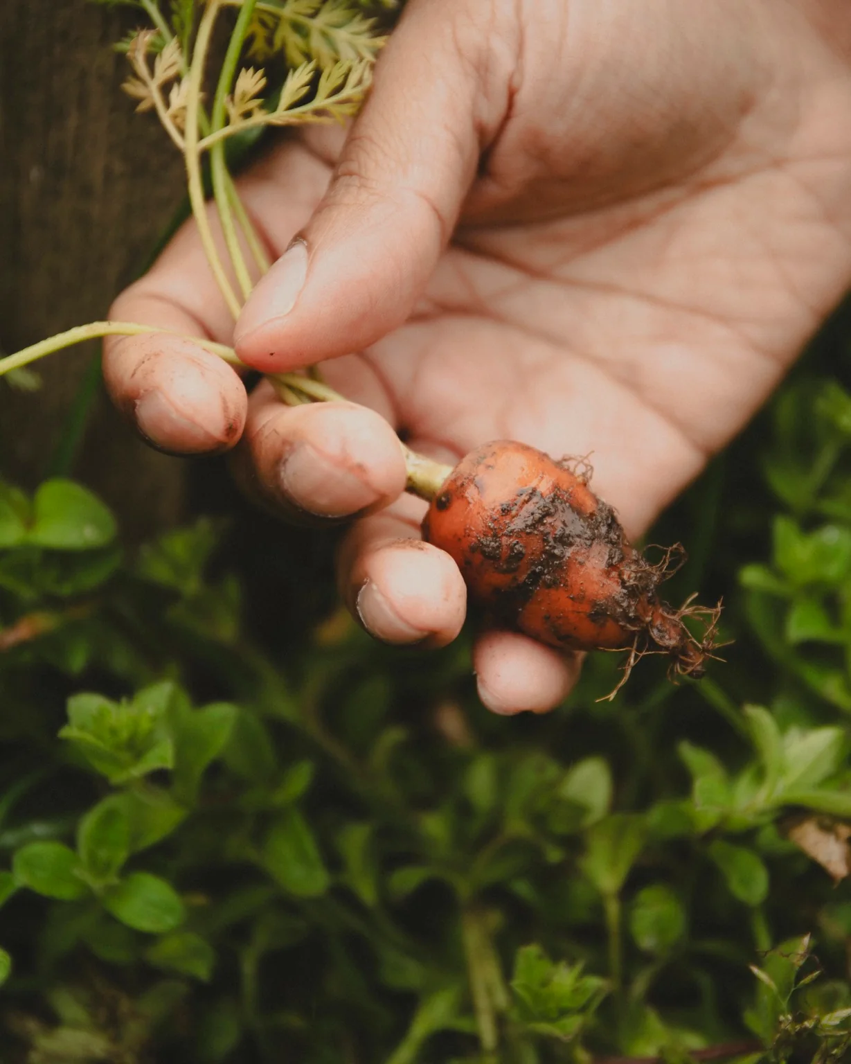 Sourcing at VENN — farm and producer relationships