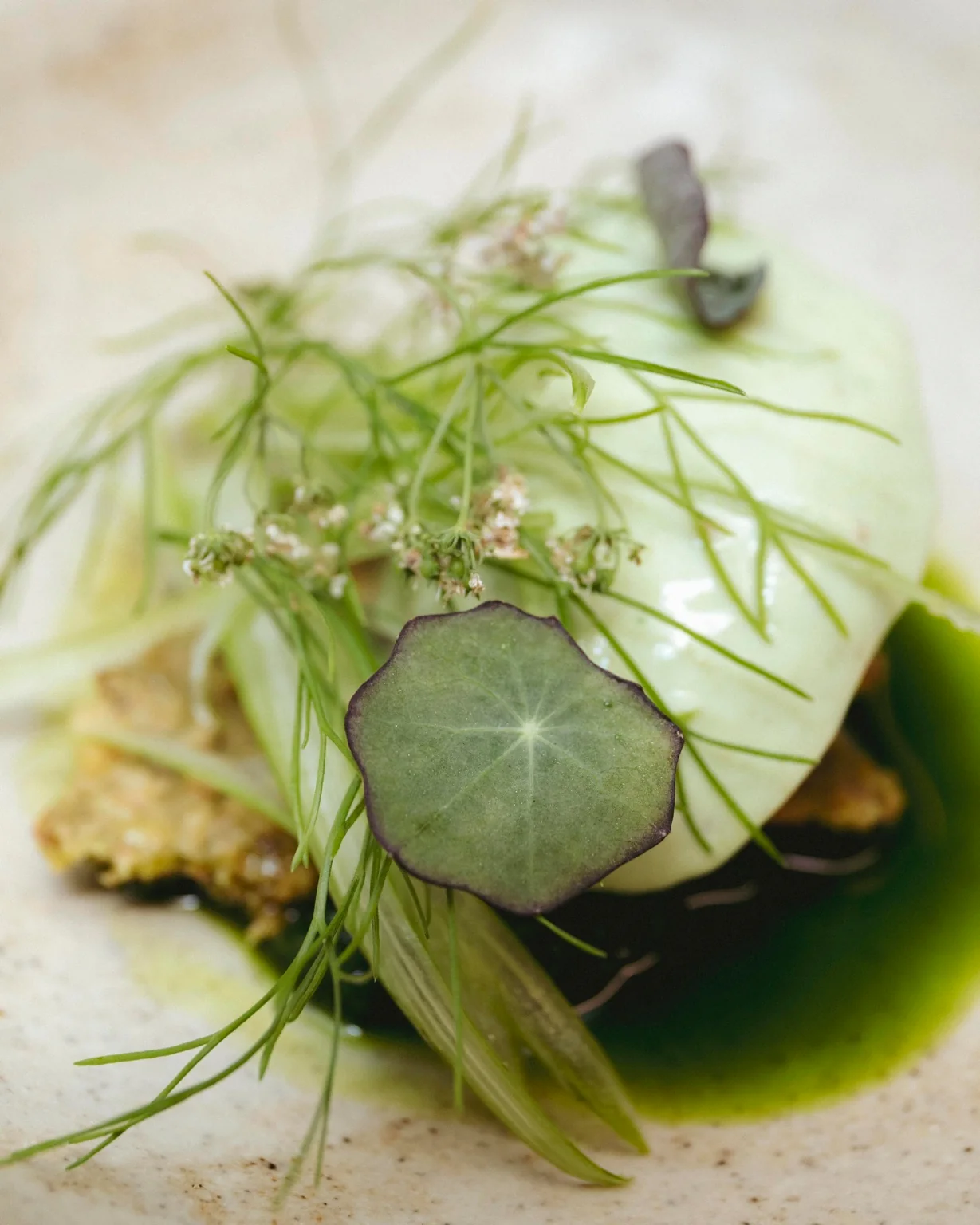 venn kitchen