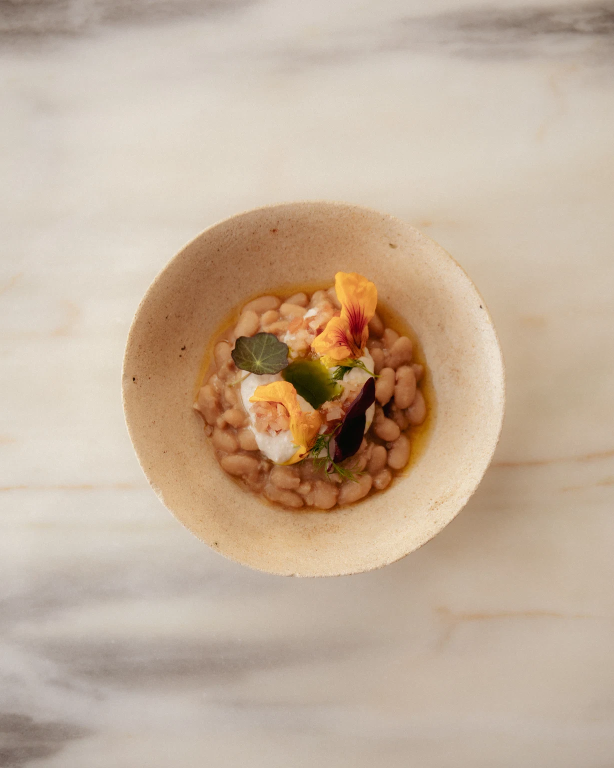 fermented beans 1 · plated · hero