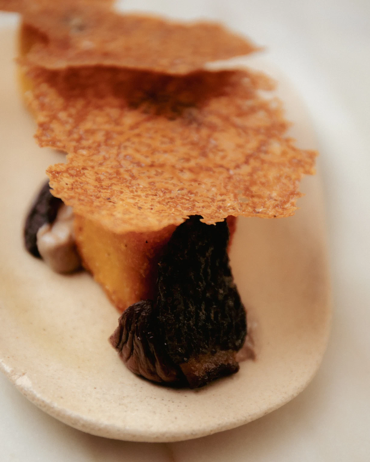 polenta 2 · detail · close-up