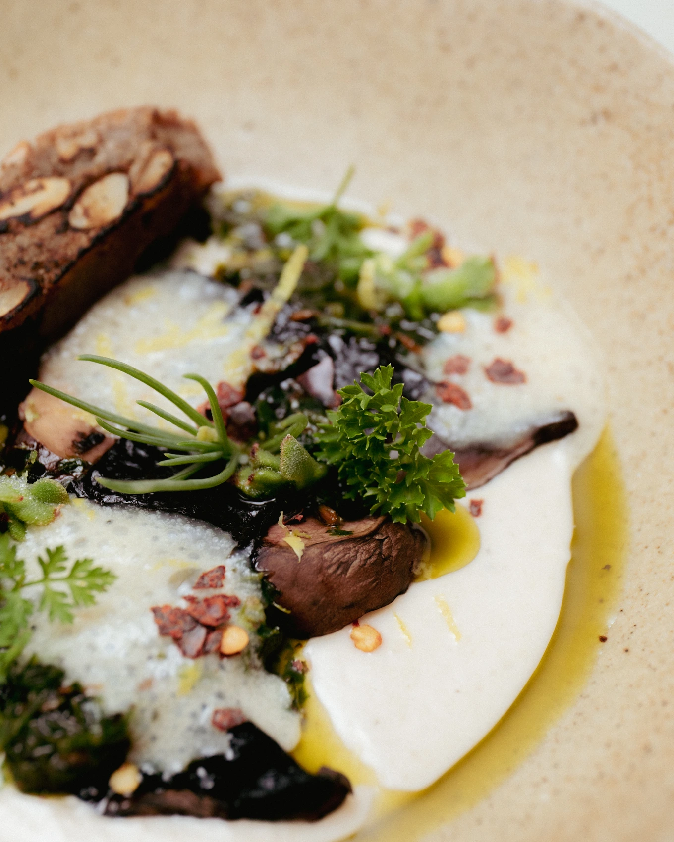 oat & garlic cream 2 · detail · close-up