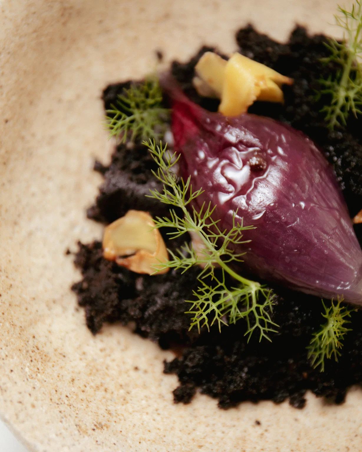 beetroot, salted for a week