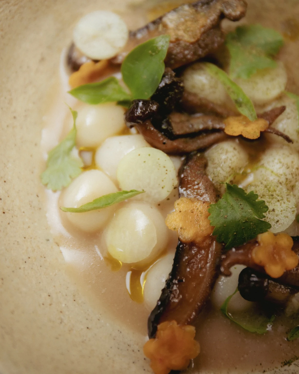 Tom kha with roots and herbs