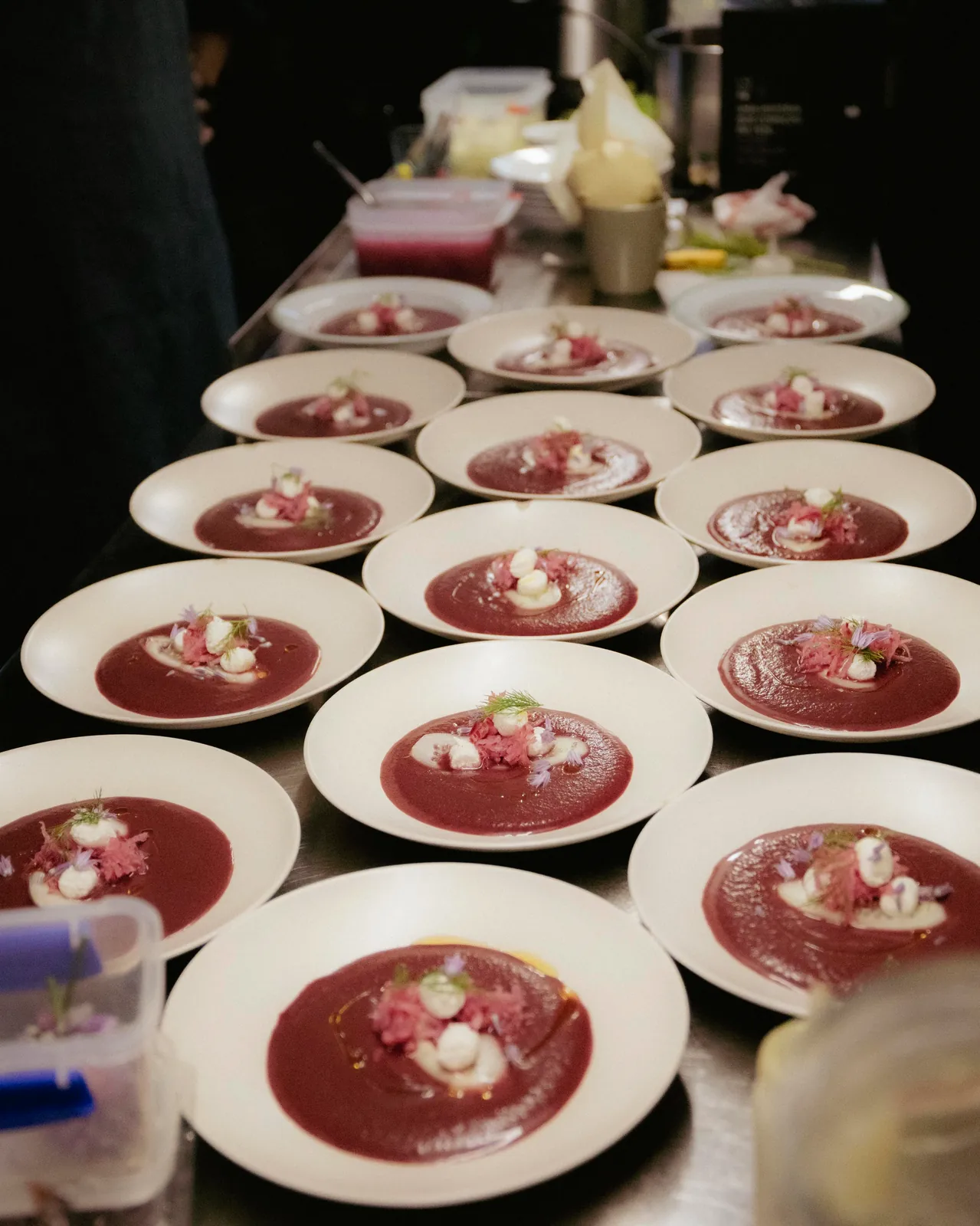 Rows of dishes plated for service at Venn Canteen