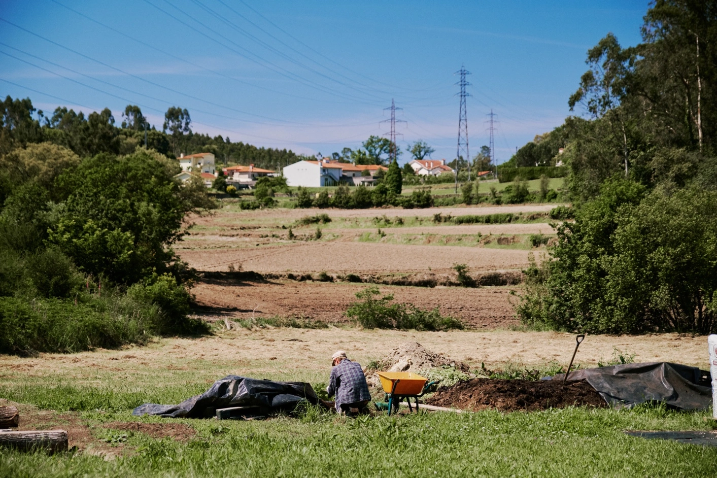 Open farmland in the green river country upstream of Porto