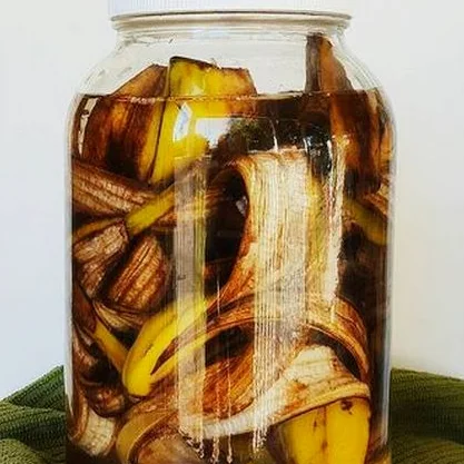 into vinegar