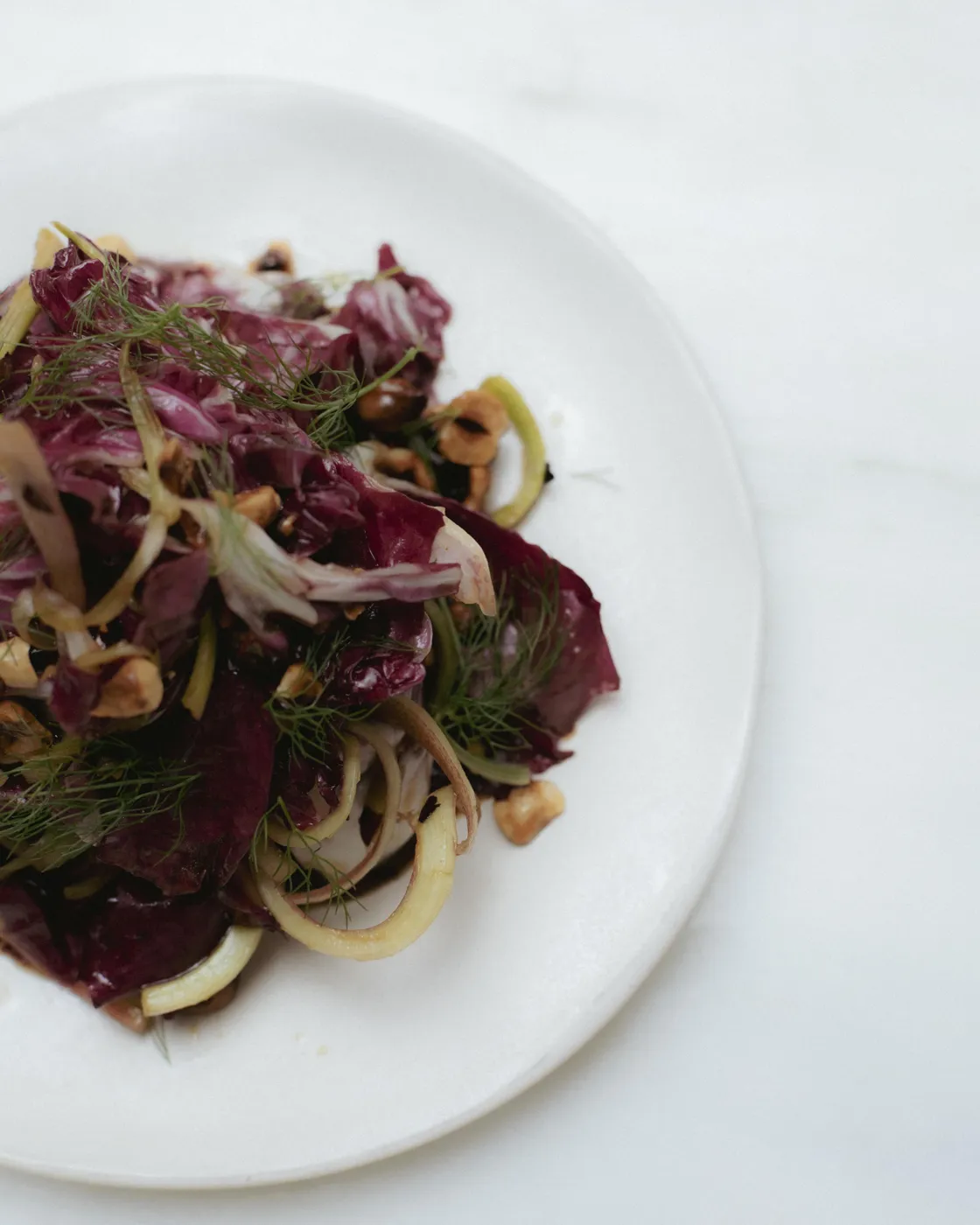 red chicory salad with rhubarb and fennel tops