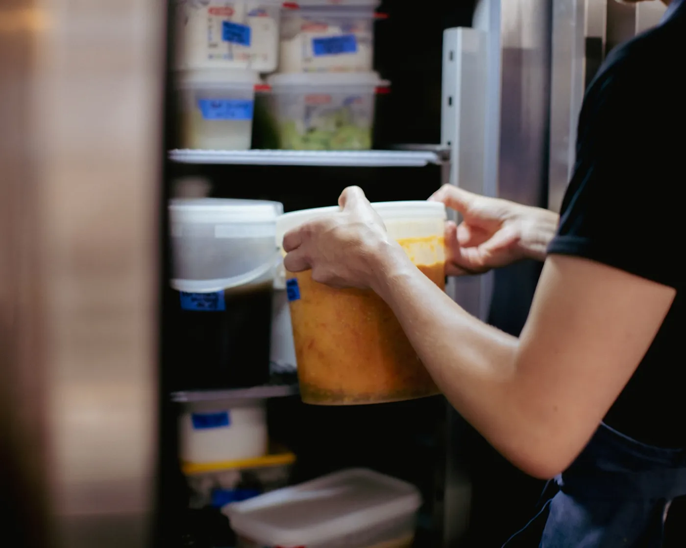 the ferment fridge
