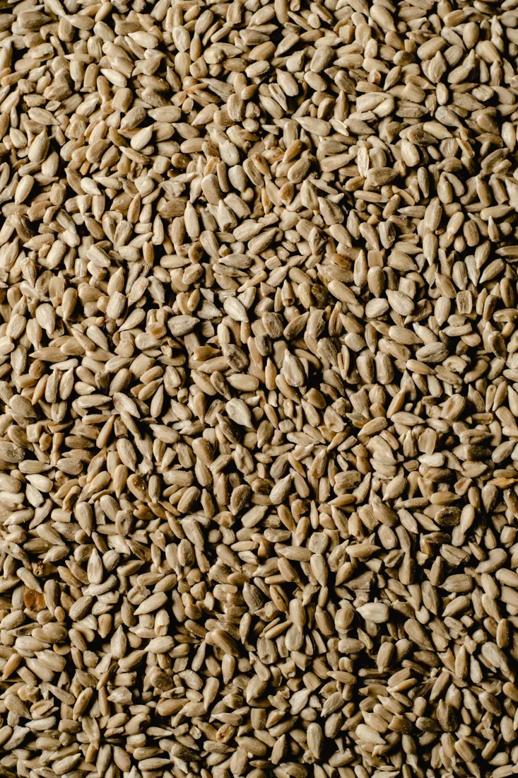 the seeds