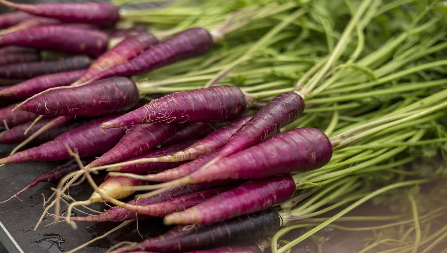 Purple carrot