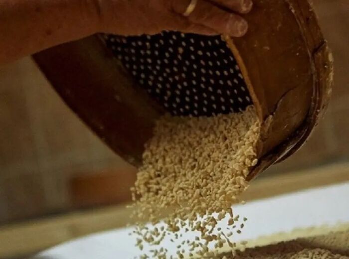 Transmontano couscous